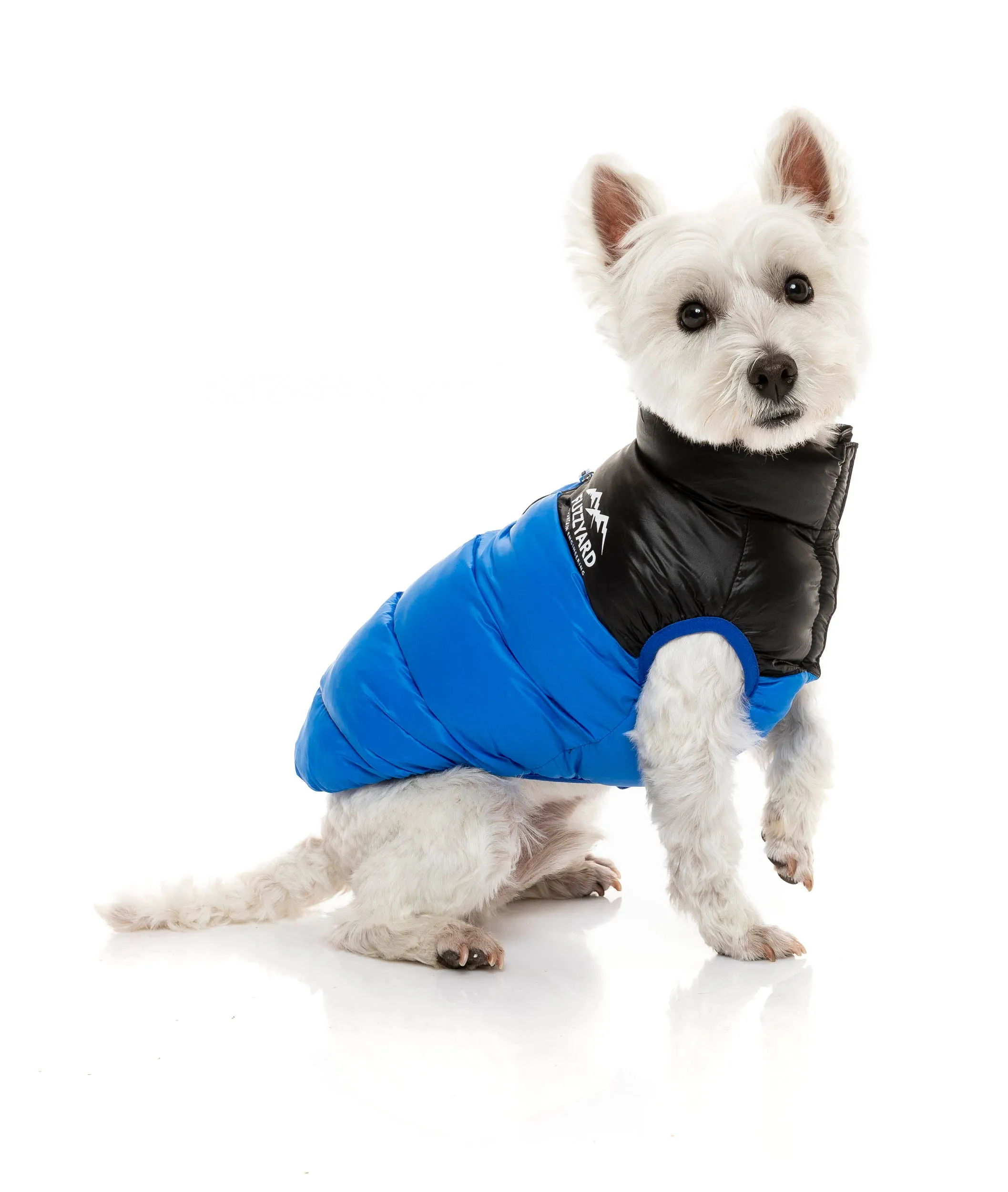 Harlem Puffer Jacket - Blue