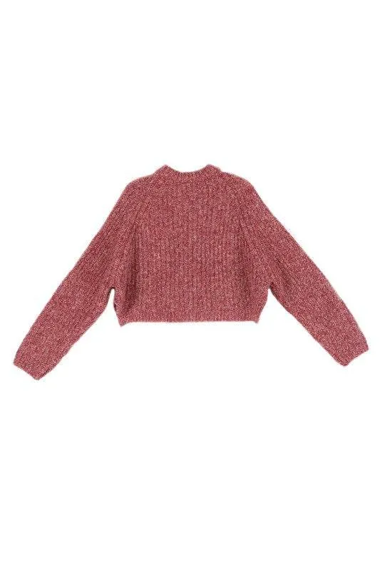 Lilou Melange Multicolor Round Neck Long Sleeves Sweater Top